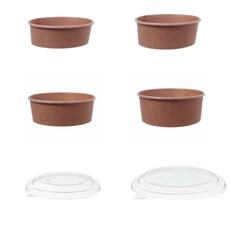 Salatschalen Feinkostschalen Pappe PLA beschichtet  500-1200ml Auswahl Deckel