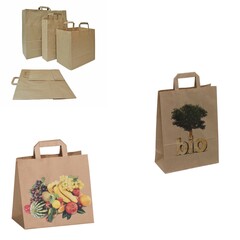 Papiertragetaschen naßfest Obst Gemüse bedruckt Bio Obst Gemüse Auswahl