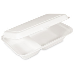 50x Bio Menüboxen Lunch-Boxen 2-geteilt aus Zuckerrohr Bagasse 250x162x63 mm
