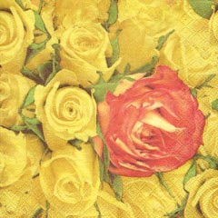 20x Motivservietten 3-lagig 33 x 33cm Frühlingsmotiv Frühjahr