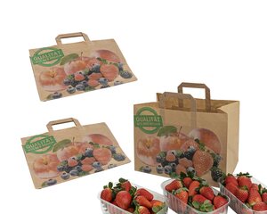 Obsttragetaschen Tragetaschen aus Kraftpapier 90gr. 320+215x240mm 