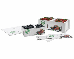 Obstkörbe Beerenkörbe aus Pappe 225x120x80mm mit Neutraldruck für 1,0 KG