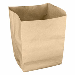 Preview: 10x BIO-Papierbeutel Einkaufsbeutel Obst/Gemüse 10l 200+170x360mm kompostierbar braun