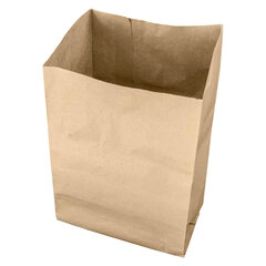 10x BIO-Papierbeutel Einkaufsbeutel Obst/Gemüse 10l 200+170x360mm kompostierbar braun