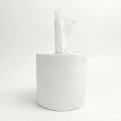 Preview: 12 Rollen Ecoline Handtuchpapier Innenabrollung 2-lagig hülsenlos Zellstoff 450 Abrisse 6 Rollen