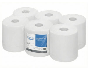 12 Rollen Ecoline Handtuchpapier Innenabrollung 2-lagig hülsenlos Zellstoff 450 Abrisse 6 Rollen