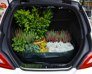 10x Kofferraumtasche Schutztasche Pflanzenmatte 90 x 60 x 20 cm PE Gewebe 160 gr