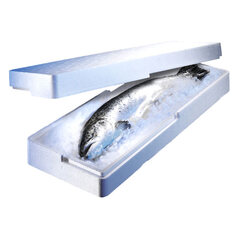 120x Isolierboxen für den Fischversand aus Styropor EPS  650x230x96mm 8 Liter