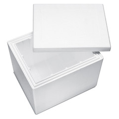 2x Isolierboxen mit Deckel aus Styropor EPS 600 x 485 x 490 mm 75 Liter
