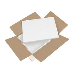 10x Isolierboxen mit Deckel aus EPS 442 x 320 x 209 mm 19 Liter inkl. Umkarton