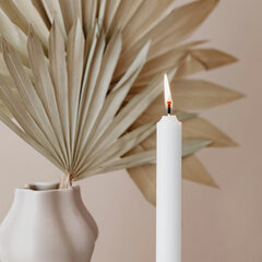 Preview: 160x Tafelkerzen 200 mm 8 Stunden Brenndauer weiß