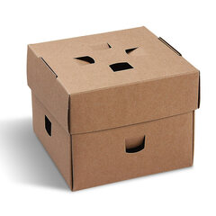 100x BIONATURE Burgerboxen kraft braun Fettbarriere Recycling 12x12x10cm