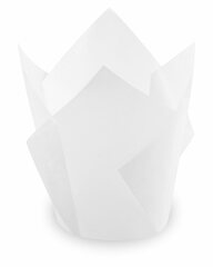 1000x Muffin-Tulip-Wraps Ø 50 x 85 mm weiß 160x160 mm
