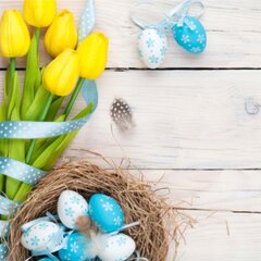 1000x Osterservietten 3-lagig 33 x 33 cm Motiv Osternest