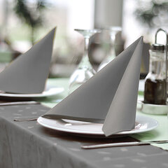 Preview: 1000x Servietten 33 x 33 cm 1/4 -Falz 3-lagig grau