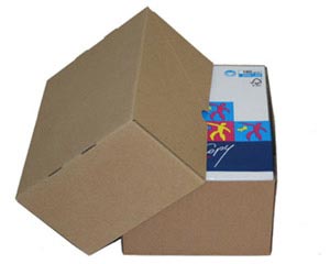 Stülpdeckelkarton aus Wellpappe LARGE für Din A4 305x215x150-(270)mm